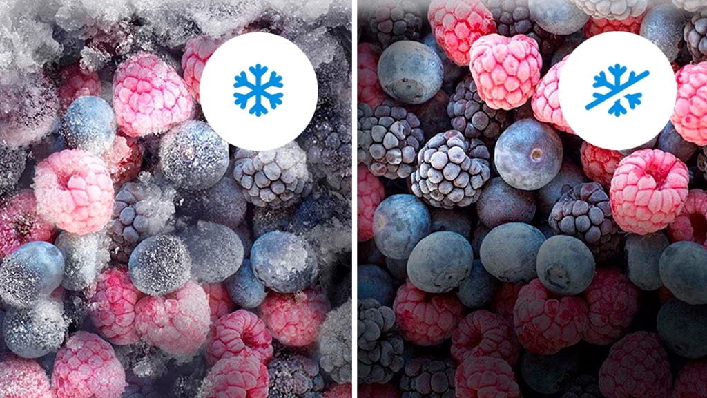 Frozen Fruit No Frost