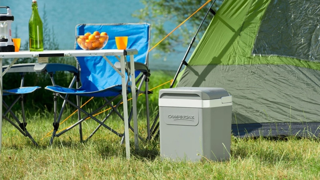 Campingaz Powerbox Plus Electric Cooler, 24L - Shop Online - Crosscraft