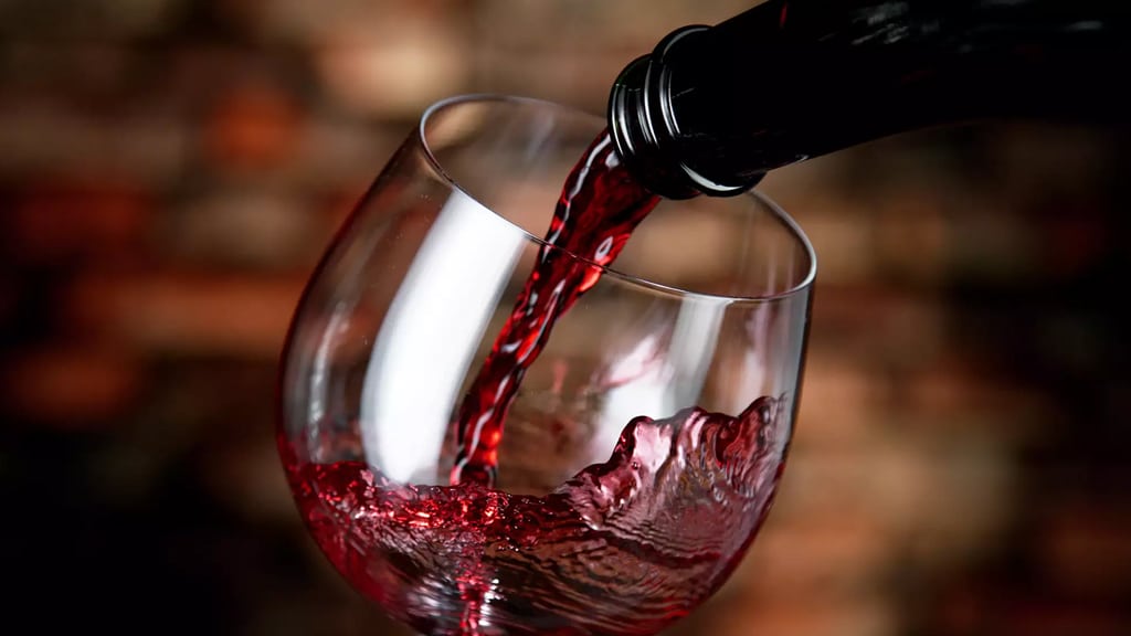 Caple-Sense-Undercounter-Single-Zone-Wine-Cooler