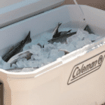 Coleman Xtreme Marine 100QT Wheeled Cooler 2000037402 t