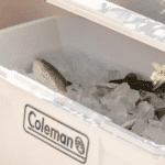 Coleman Xtreme Marine 100QT Wheeled Cooler 2000037402 u