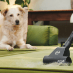 Hoover HE1 Bagged Vacuum Cleaner HE120PET 011