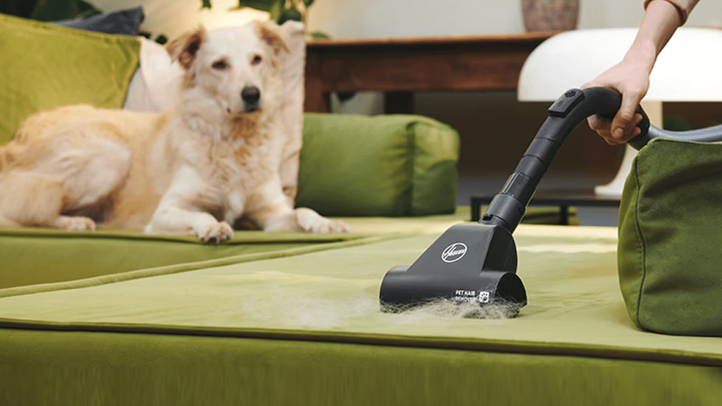 Hoover HP1 Bagless Vacuum Cleaner 39002323
