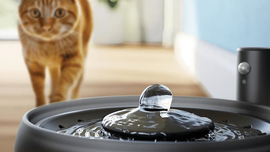Philips Pet Series 3000 Water Fountain PAW3210 02 h