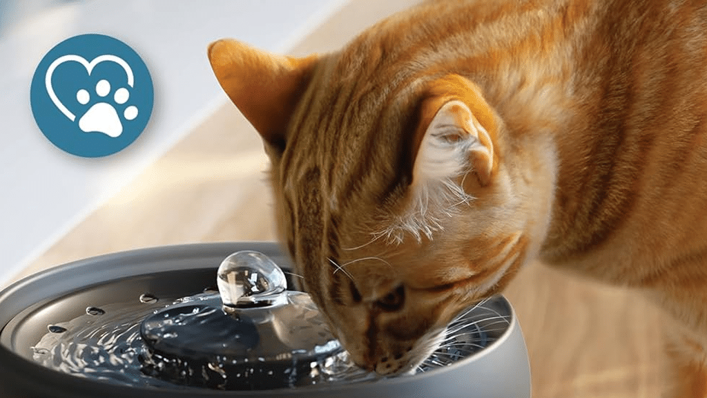 Philips Pet Series 3000 Water Fountain PAW3210 02 p