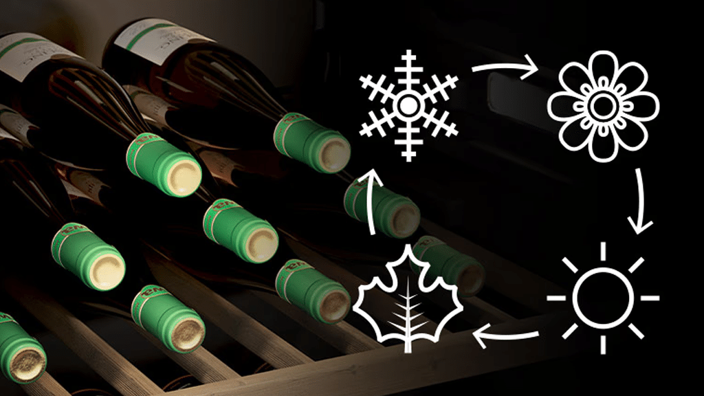 Haier Series 7 Freestanding Wine Cooler HWS201GDFH1 b5
