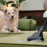 Hoover HP2 Turbo Bagless Vacuum Cleaner HP210P 011 c8