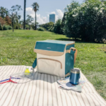 Campingaz Fold N'Cool Minimaxi 30L Cooler Bag 2227103 b8