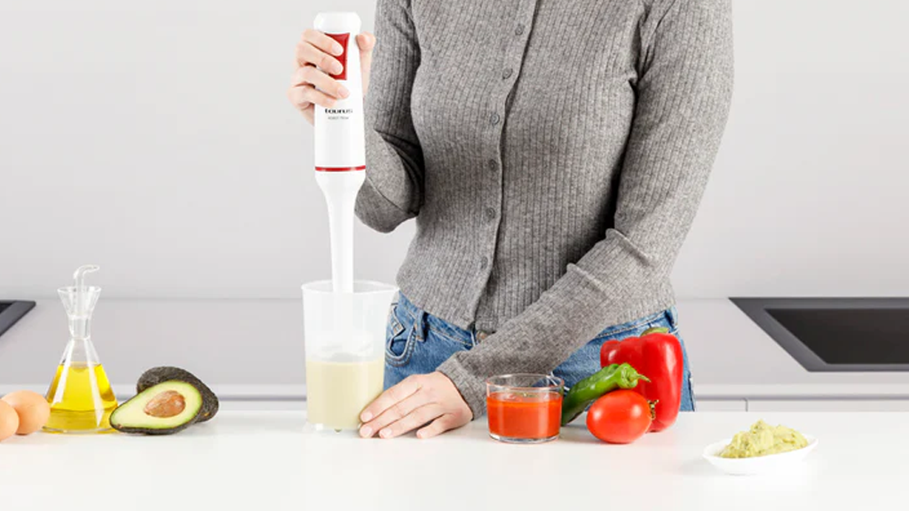 Taurus Robot 750 Hand Blender 916427000 a4