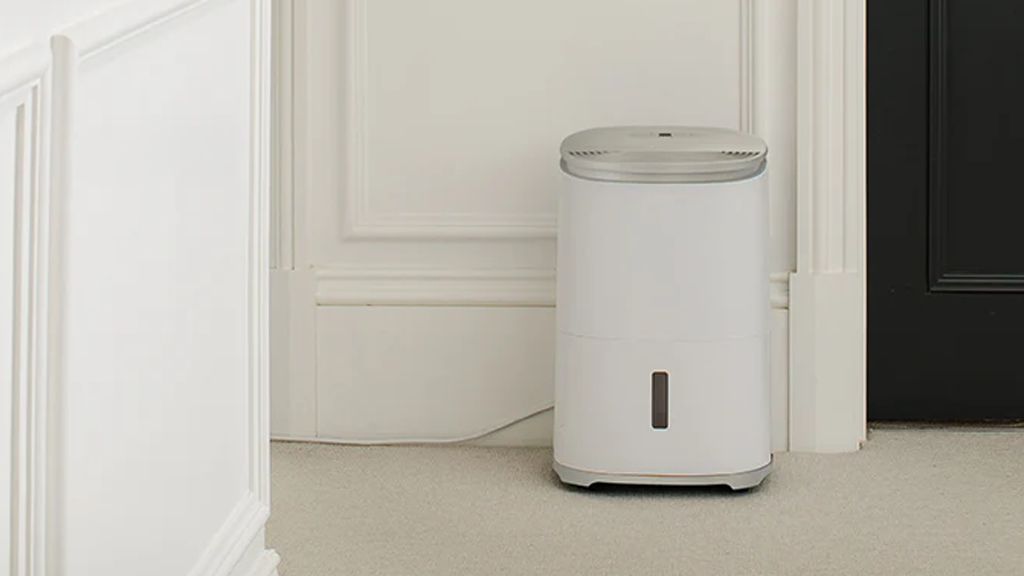 Meaco Dry Arete® One 12L Dehumidifier & Air Purifier 12ARWP