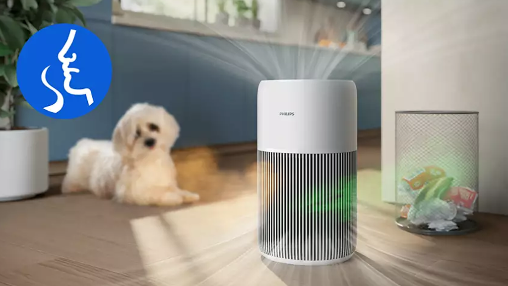 Philips Series 2200 PureProtect Quiet Air Purifier AC2220 10 A12